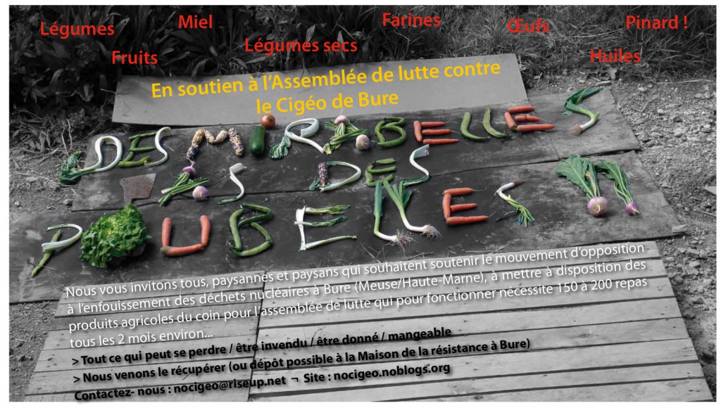 Des mirabelles pas des poubelles.cleaned
