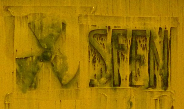 sfen2.cleaned